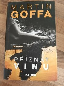 Martin Goffa Přiznat vinu - 1