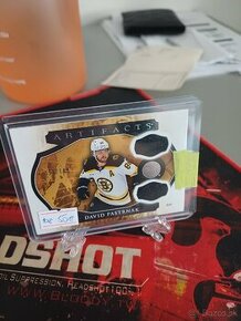 Hokejove karty / kartičky Pastrnak memo /149 - 1