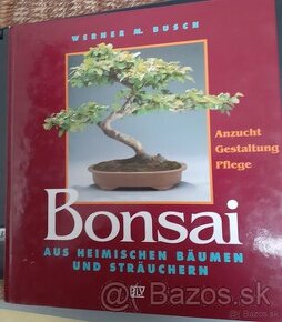 Bonsai