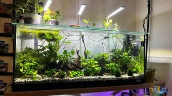 Predám akvarium - 1