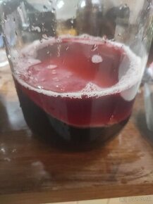 Kombucha - 1