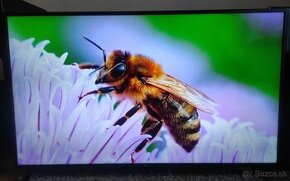 Predám 4KUHD SMART TV LG 60UM7100 (151cm)