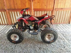 ATV Bashan 250