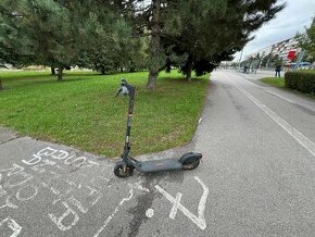 Ninebot Kickscooter F2 by Segway - PREDAM