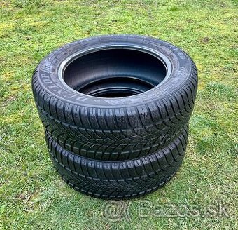 215/55 r16 zimné DUNLOP 93H