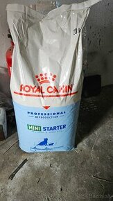 Royal canin mini Starter 20kg