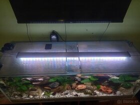 Akvarium 250 l - 1