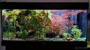 Predam akvarium