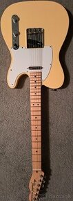 Fender telecaster performer MN VWT