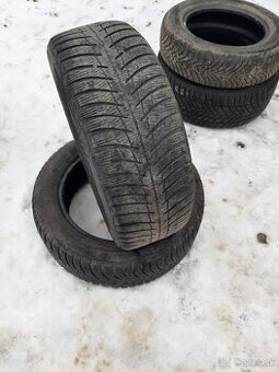 205/55R16. 91T. Zimné