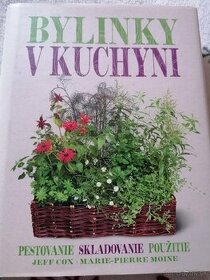 Bylinky v kuchyni