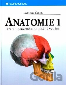 Anatómia, Čihák 1,2 - 1