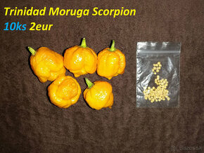 Moruga Scorpion, Ring Of Fire, Satan's Kiss - 1