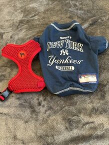 Dres NY Yankees +postroj XS a S-10€