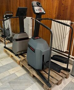 Life fitness stepper