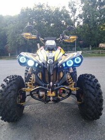 Can Am Renegade 800