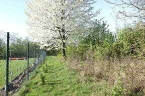 Na predaj záhrada v záhradkárskej lokalite, 893 m2, Šaca