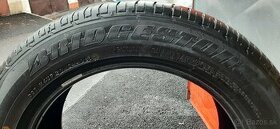 225/55 r17 - 1