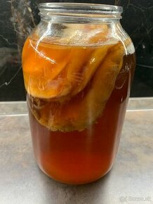 Kombucha