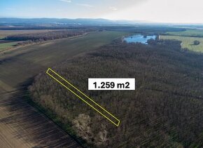 Vysoká pri Morave – 1.259 m2 LES podiel 1/1 – Predaj