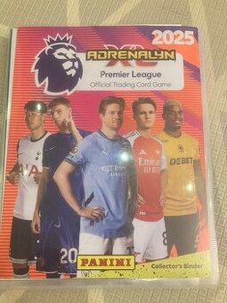 PANINI PREMIER LEAGUE 2025 - 1