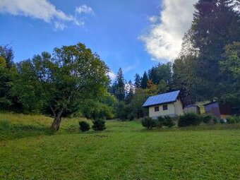 Predaj: Chatka s veľkým pozemkom vo Veľkom Rovnom (MO)