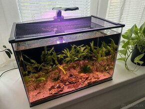 Akvarium optiwhite