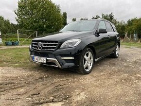 Mercedes-Benz ML350 - 1