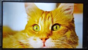 Predám 4KUHD SMART TV Hisense 50A7100F (126cm)