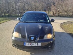 Seat Ibiza 6L 2002