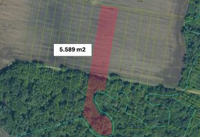 Bíňa - 5.589 m2 ORNÁ PÔDA a LES, podiel 1/1 – PREDAJ