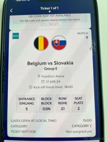 75€ - vstupenka na MS SLOVENSKO - BELGICKO