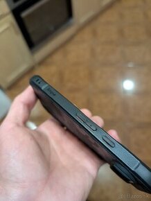 Case Pixel 9