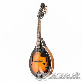 Predám elektro-akustickú mandolínu