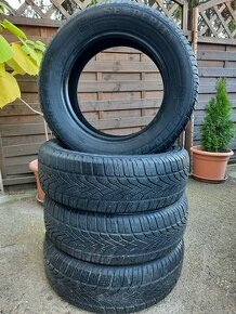 195/65R15zimne