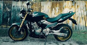 Honda Hornet