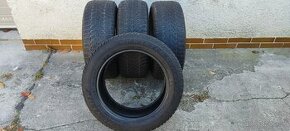 225/55 R17 Dunlop SP Winter Sport 4D M+S