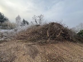 Darujem palivové drevo a drevo vhodné na štiepku