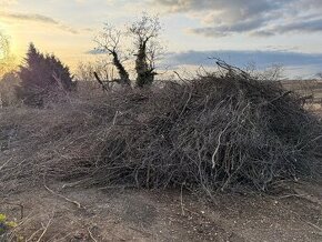 Darujem palivové drevo a drevo vhodné na štiepku