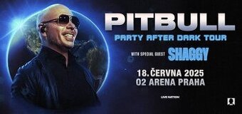 Pitbull praha