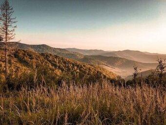 Zbora (Dohňany) - 8.714 m2 LESY a ORNÁ PÔDA - Na predaj - 1