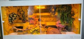 Predam TOP terarium - 1