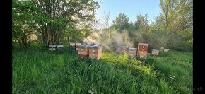 Včely, včelie úle 2/3 Langstroth