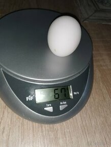 Domáce vajíčka BIO - 1