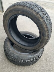 Goodyear 205/55 R16 91H zimné 2ks - 1