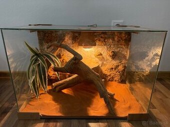 Terarium s 3D stenou