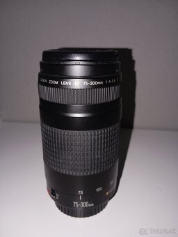 Canon EF 70-300 II