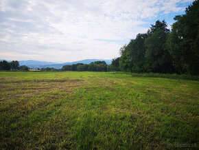 Predám pozemky pre poľnohospodár. účely 15271 m2