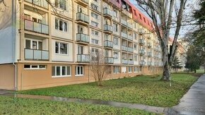 2 IZBOVÝ BYT 53,6 M2 S VÝHĽADOM NA VÁH, BALKÓN, LOGGIA, PIEŠ - 1