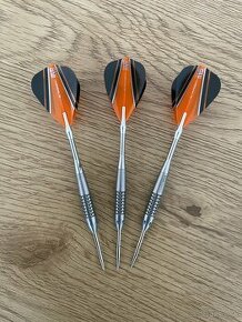 Šipky steel Target Phil Taylor 26g